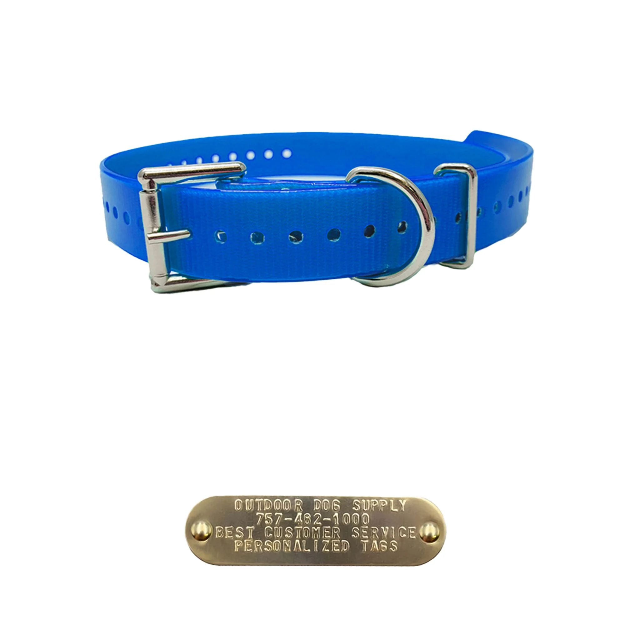 1" Double Buckle Dog Collar with 3/4" Brass Name Plate - Image 5