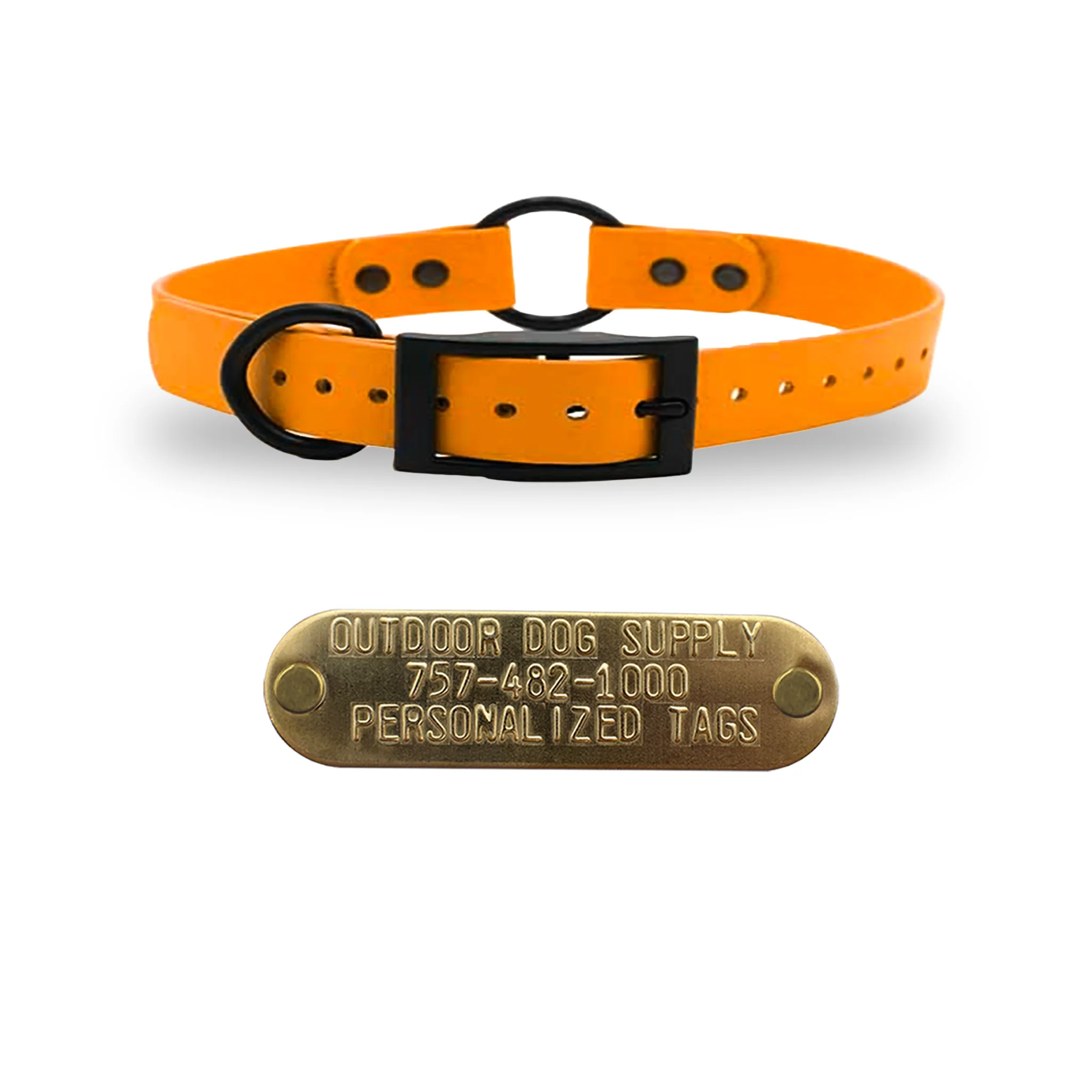 3/4" SoftFlex Beta Center Ring Dog Collar with Brass Name Plate - Image 6