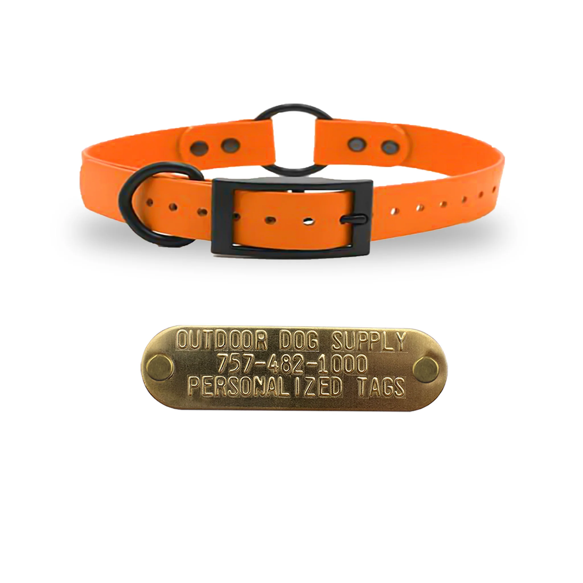 3/4" SoftFlex Beta Center Ring Dog Collar with Brass Name Plate - Image 7