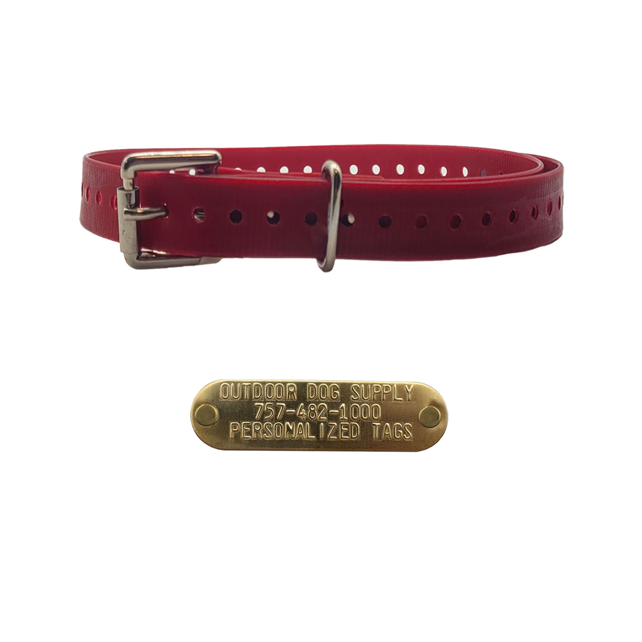 3/4" Basic Dog Collar with Brass Name Plate - Image 4
