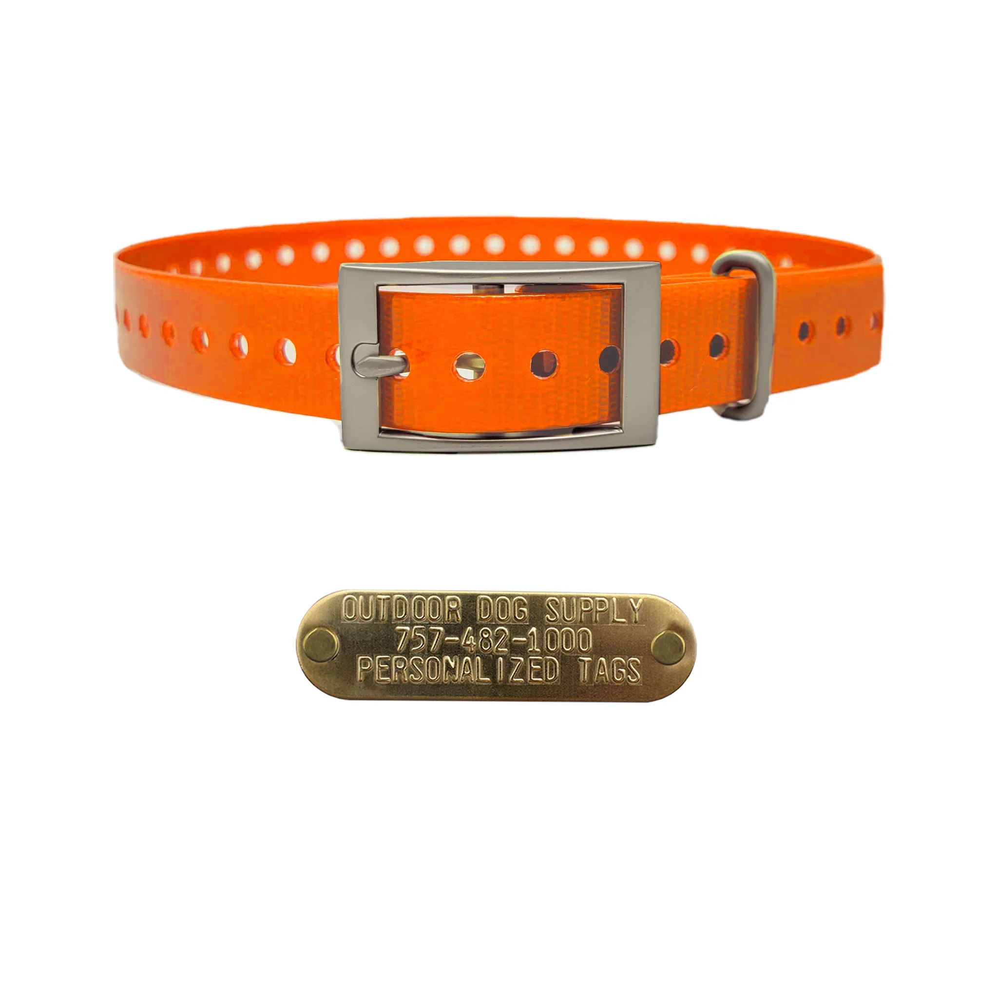 3/4" Basic Dog Collar with Brass Name Plate - Image 5