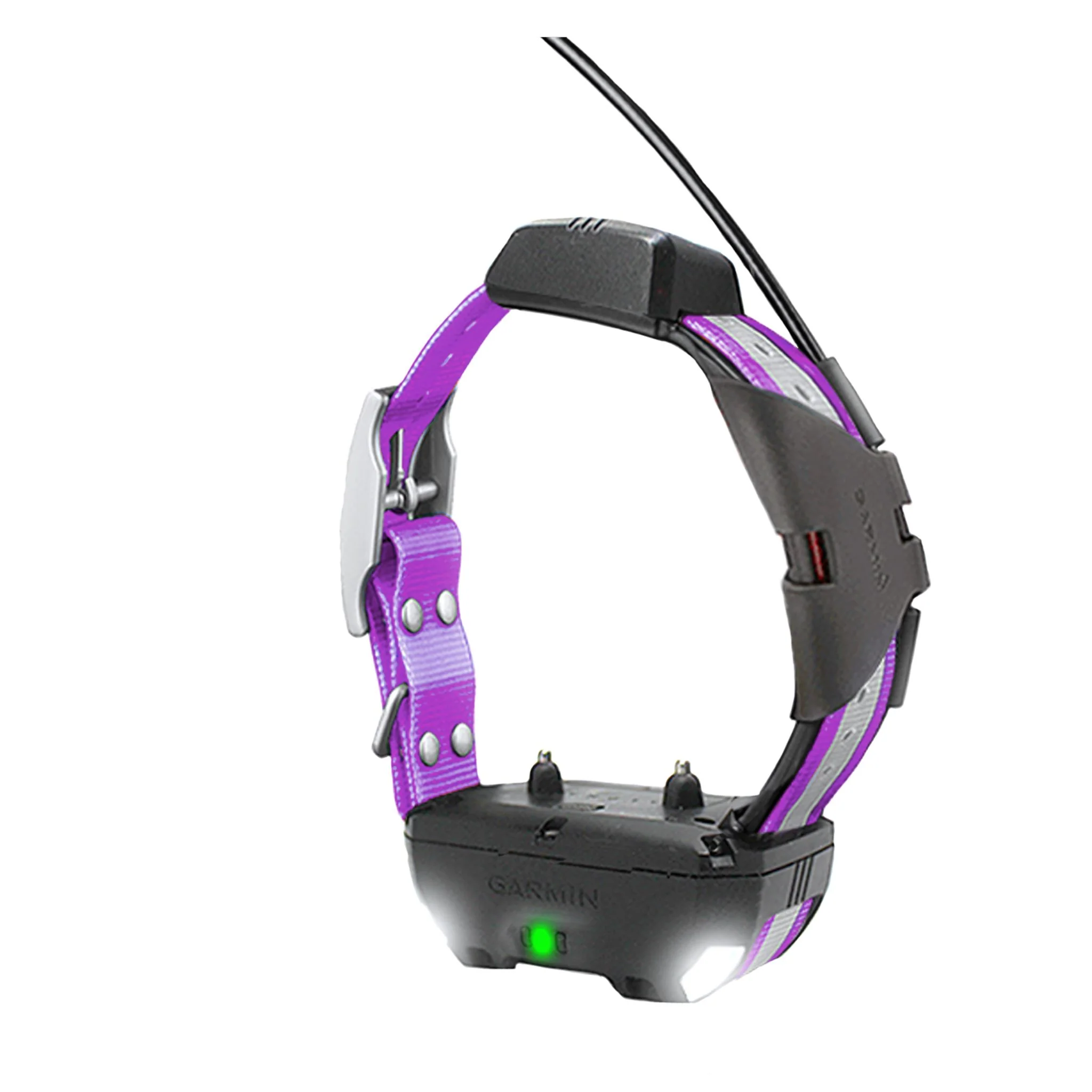 Garmin Alpha 300 Rabbit Beagle Bundle - Image 4