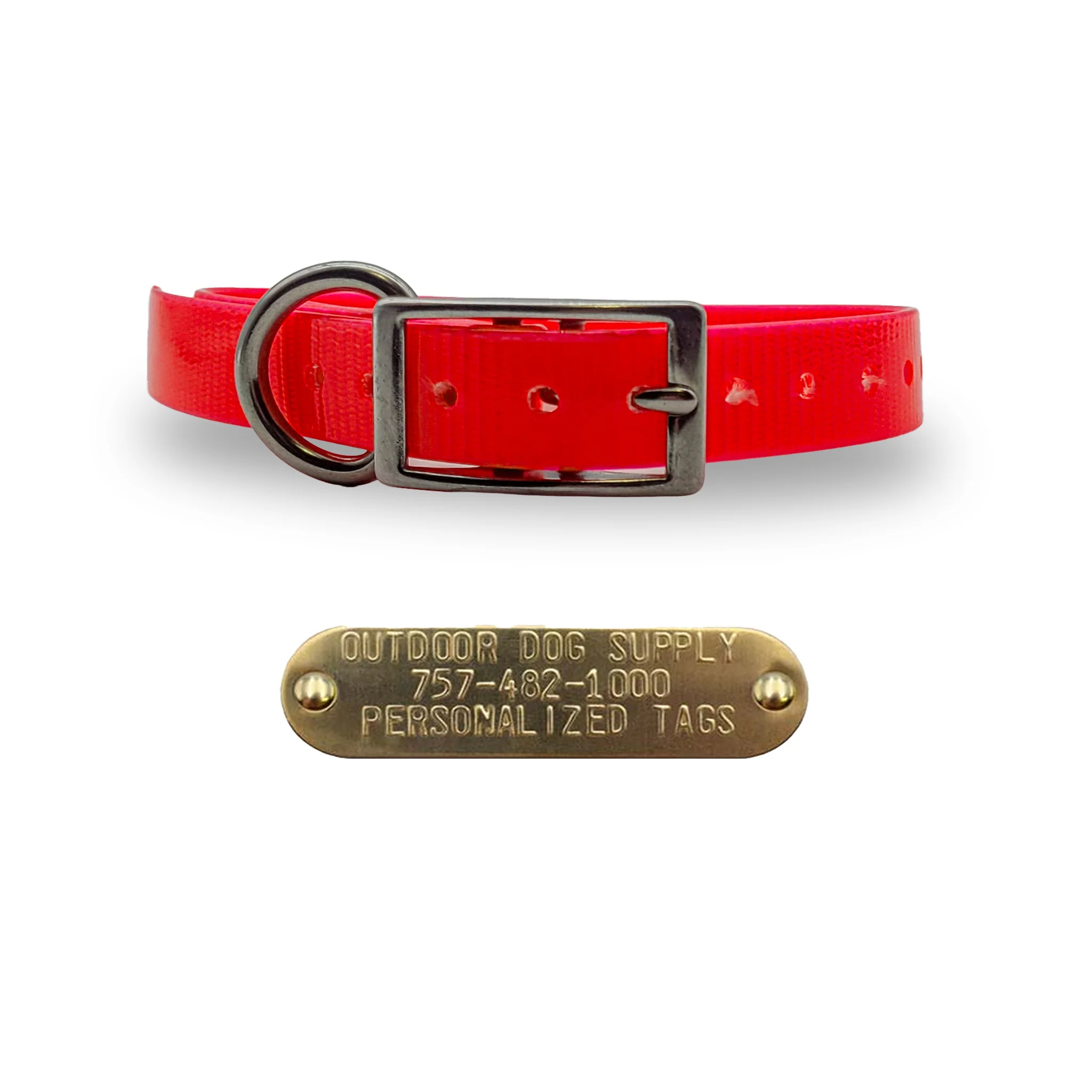 3/4" Solid Elite Collar with Stainless Steel D ring and Buckle - Image 6