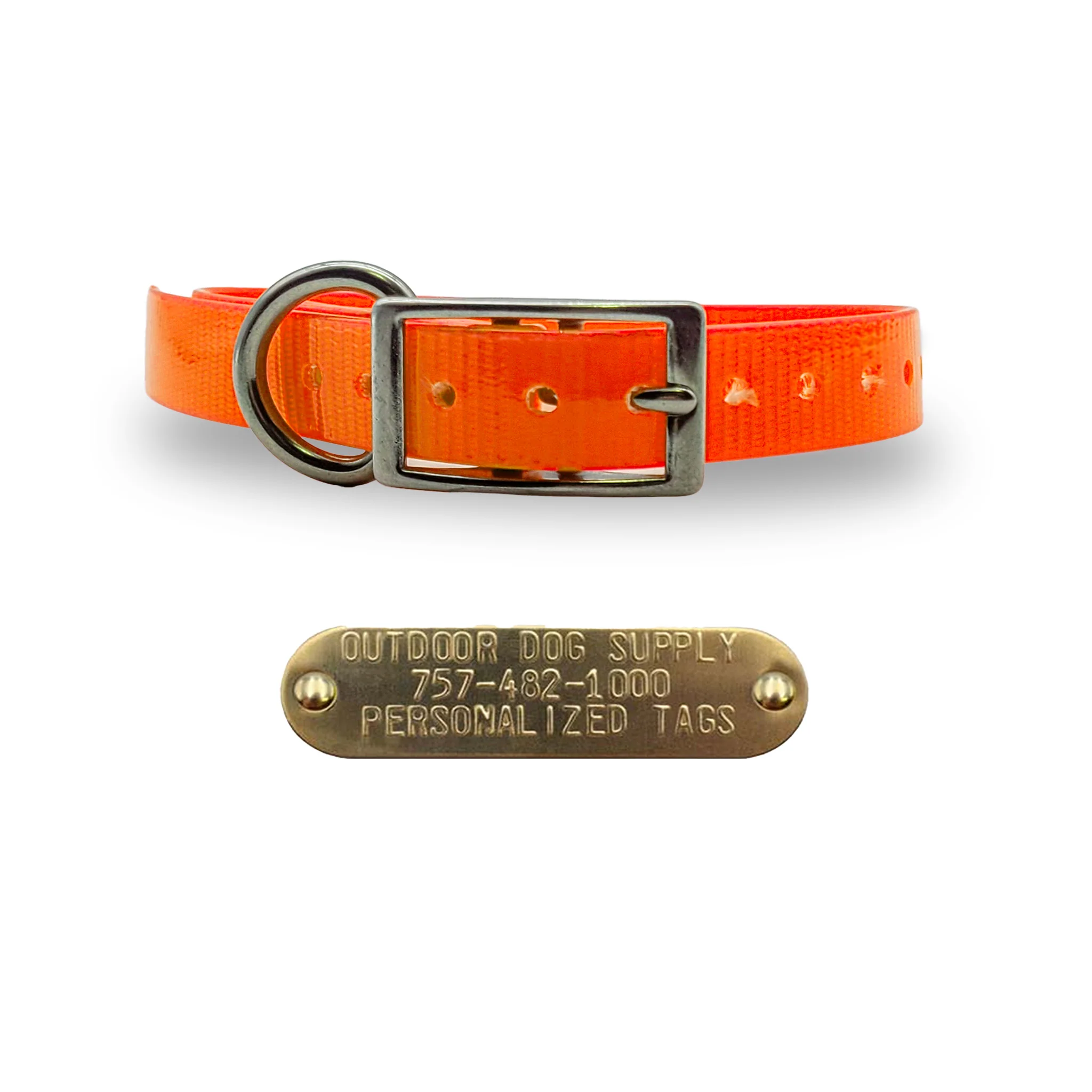 3/4" Solid Elite Collar with Stainless Steel D ring and Buckle - Image 7