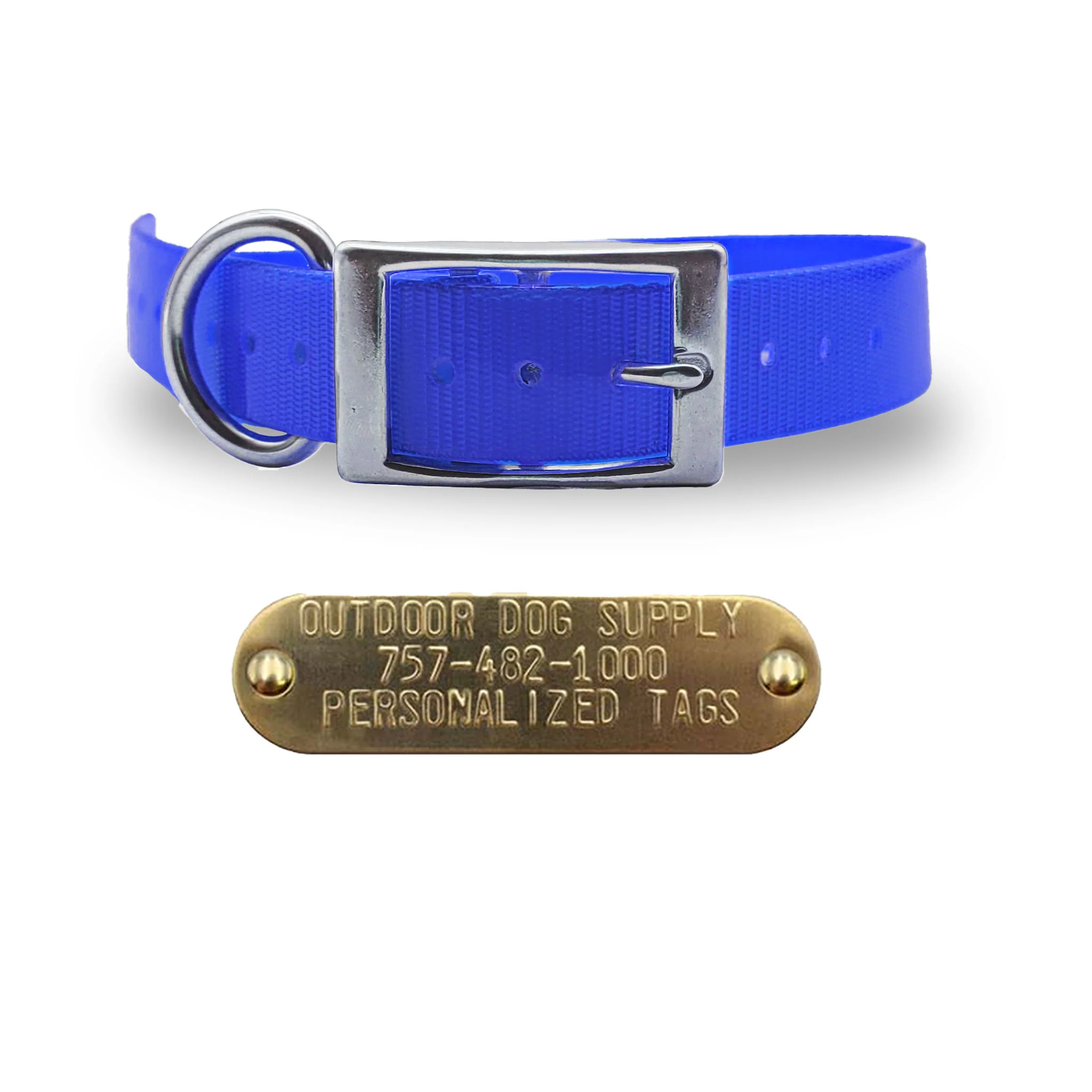 1" Solid Elite Collar with Stainless Steel D Ring and Buckle - Image 11