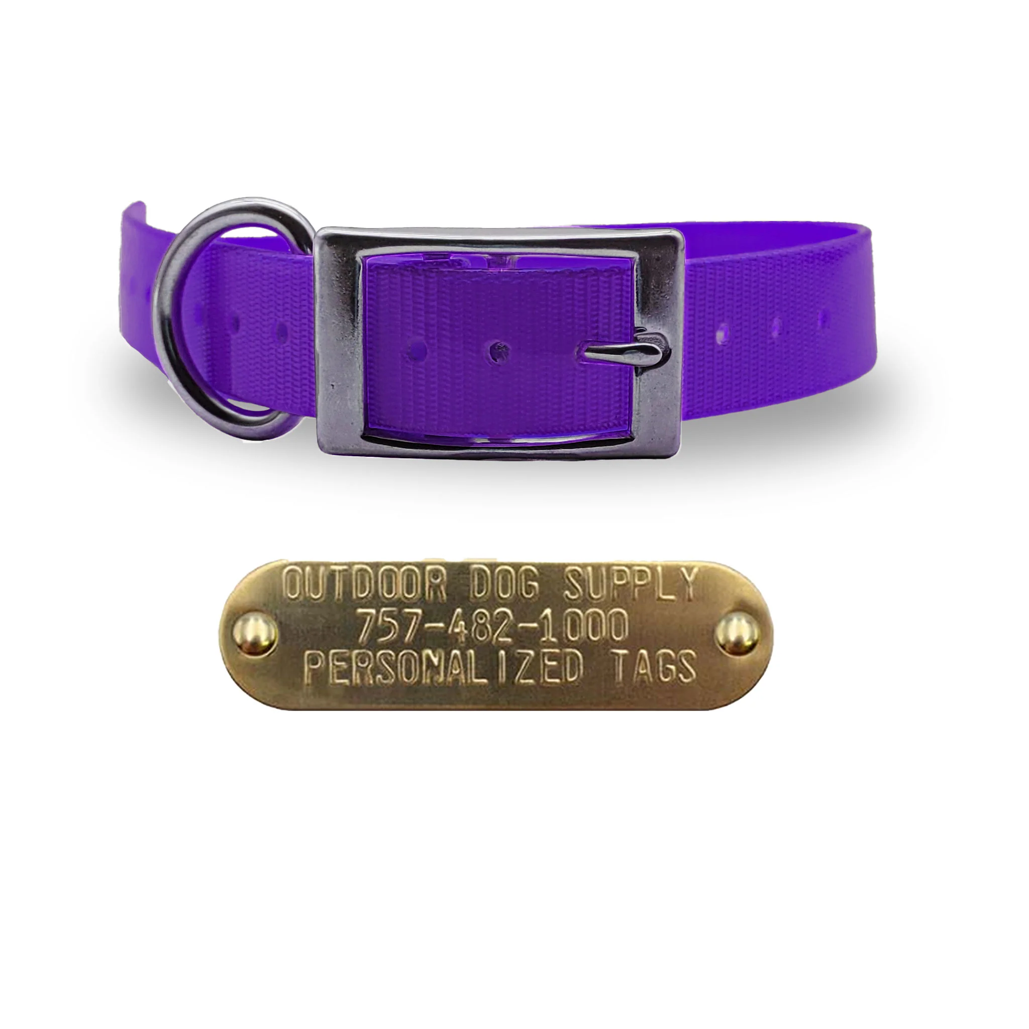 1" Solid Elite Collar with Stainless Steel D Ring and Buckle - Image 12