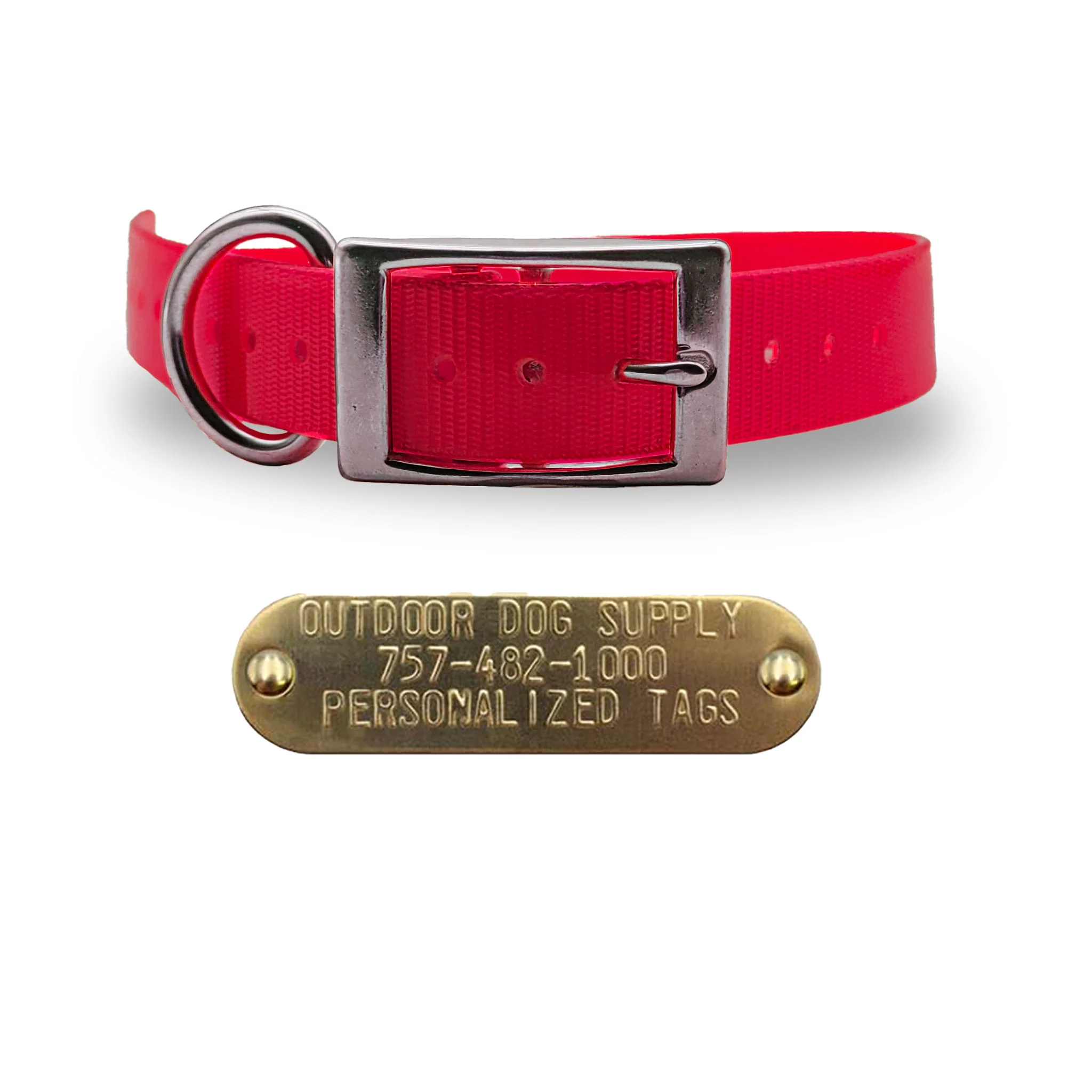 1" Solid Elite Collar with Stainless Steel D Ring and Buckle - Image 6