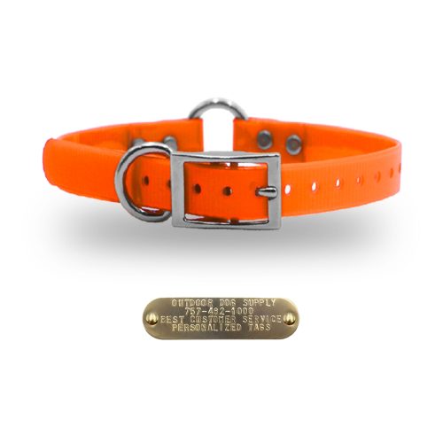 1 premium name tag collars Orange D O