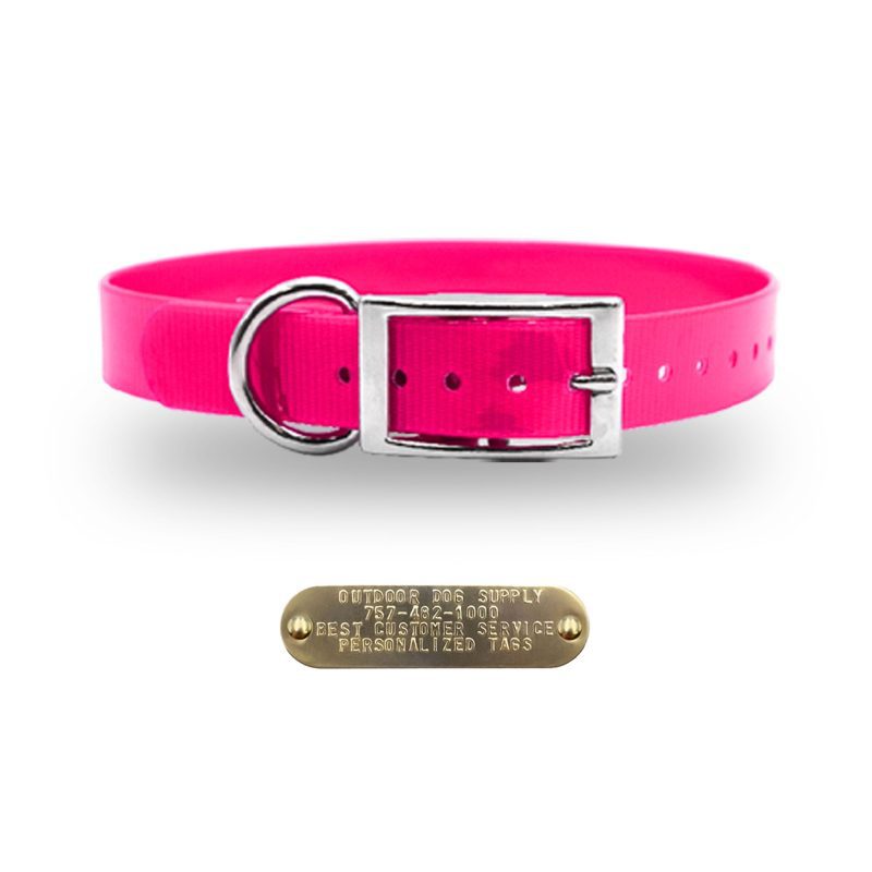 1 premium name tag collars Pink