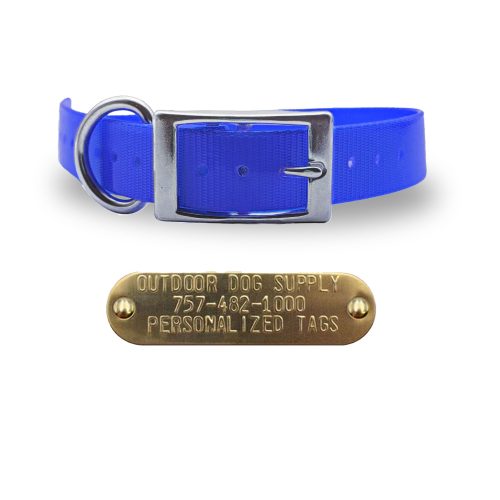 1 stainless steel collars blue