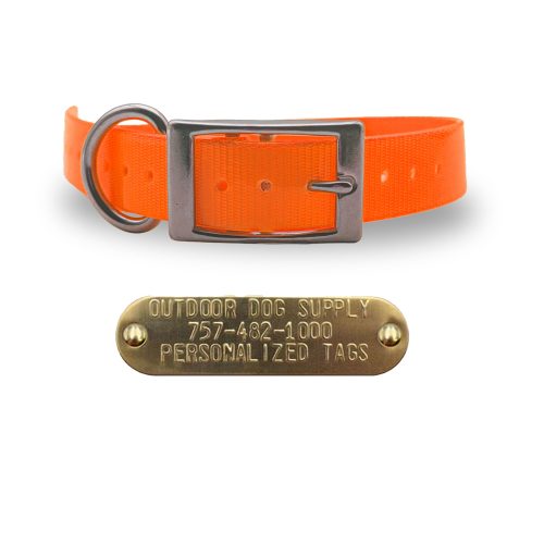 1 stainless steel collars orange