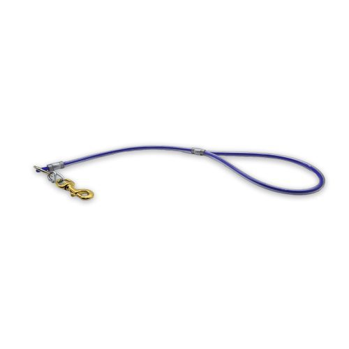 2ft cable leash bluw