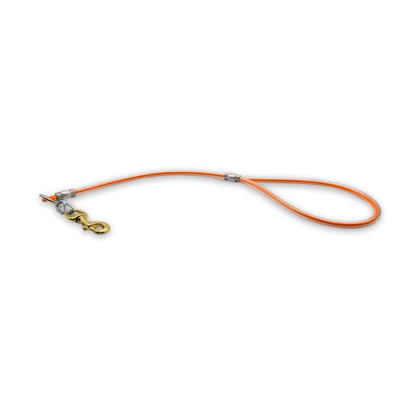 2ft cable leash orange