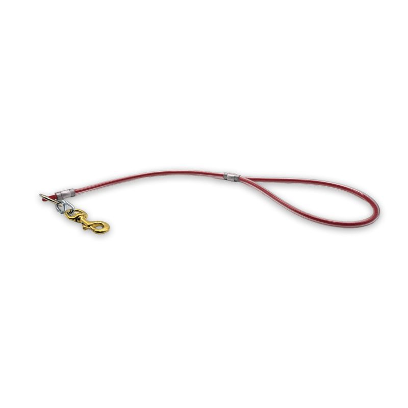 2ft cable leash red