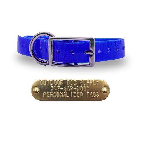 3 4 stainless steel collars blue