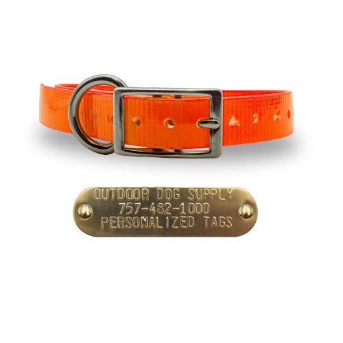 3 4 stainless steel collars orange