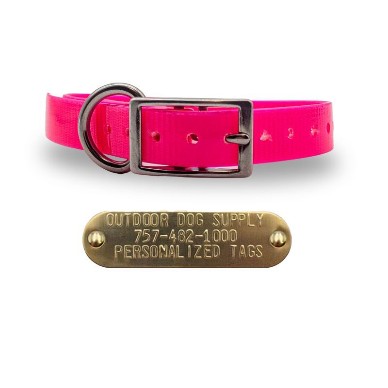 3 4 stainless steel collars pink