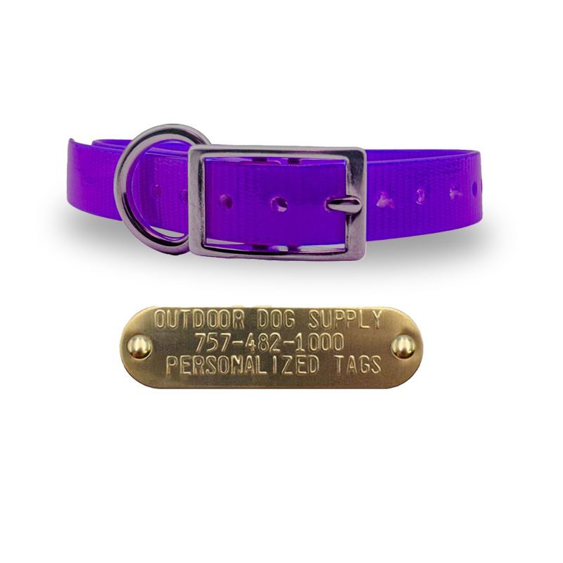 3 4 stainless steel collars purple