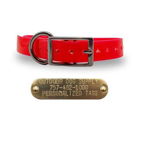 3 4 stainless steel collars red