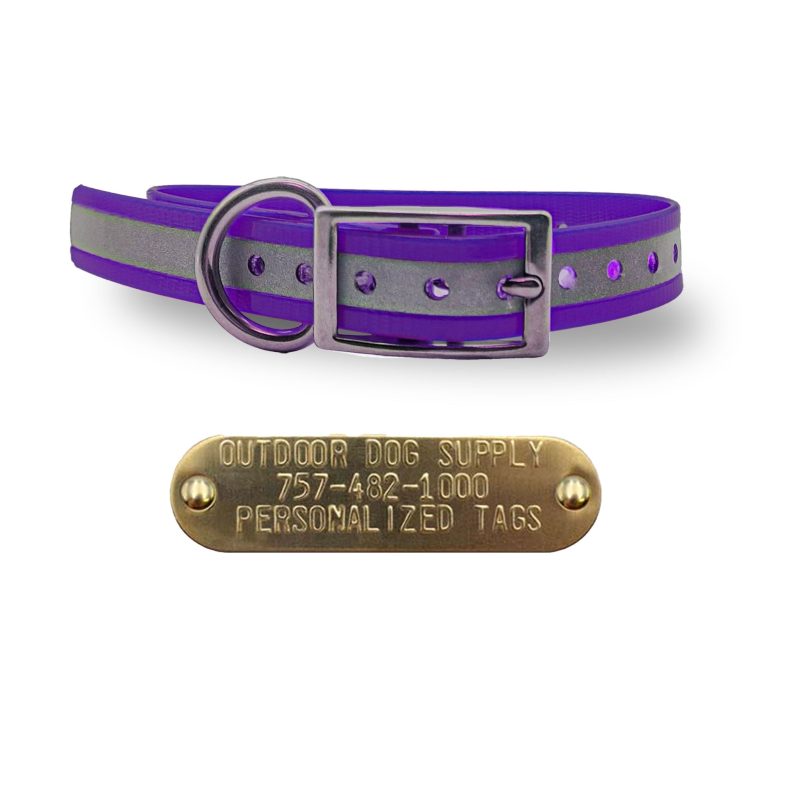 3 4 stainless steel collars ref purple