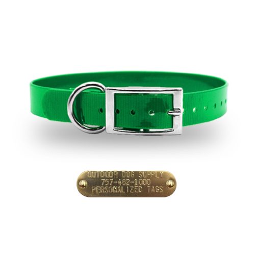 3.4 premium name tag collars Green