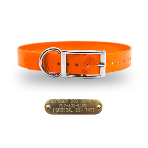 3.4 premium name tag collars Orange