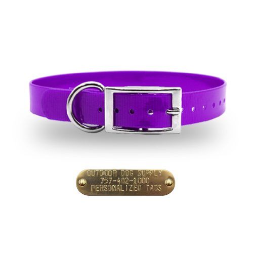 3.4 premium name tag collars Purpel