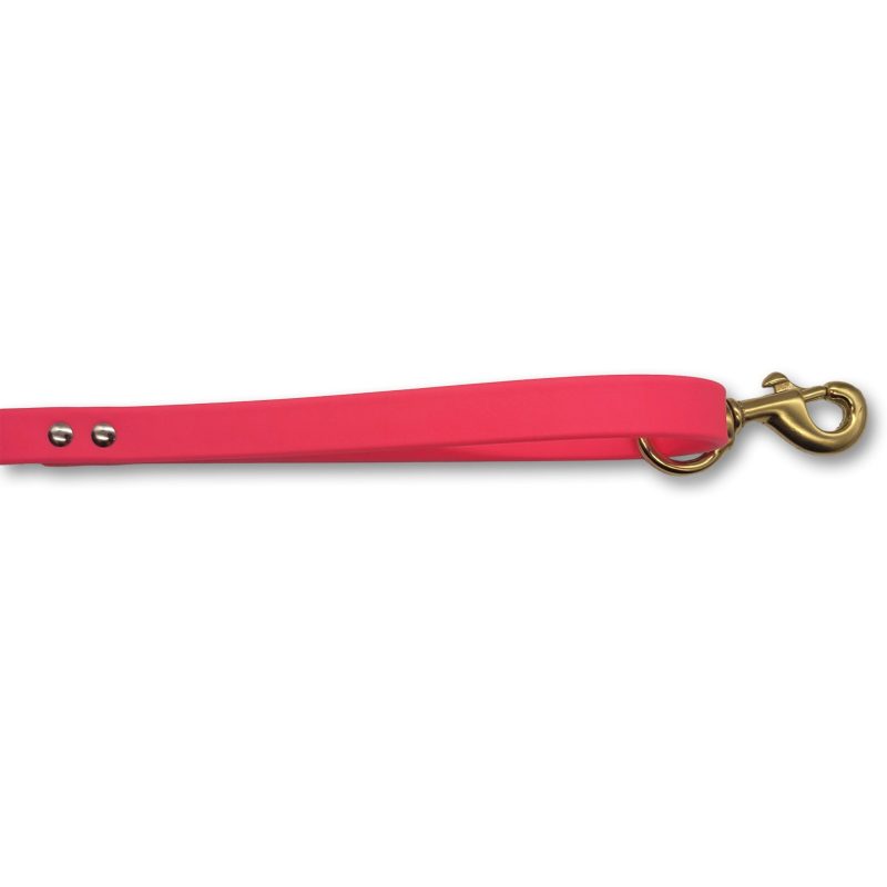 5ft beta leash handle