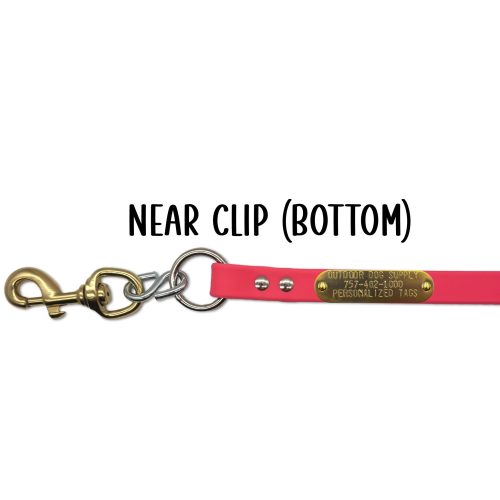 5ft beta leash tag clip