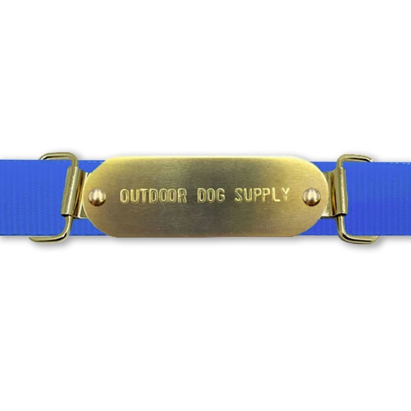 Custom 1 x 3 Raised Lettering Brass Dog Collar Name Tags with Tag Slides On Collar