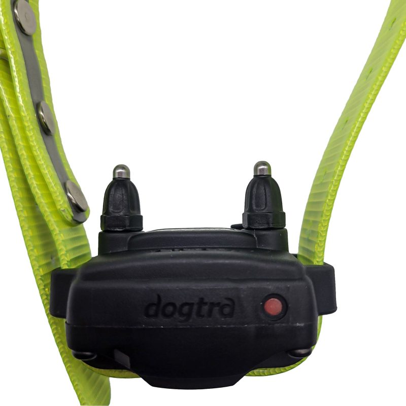 Dogtra 200C Combo collar closeup