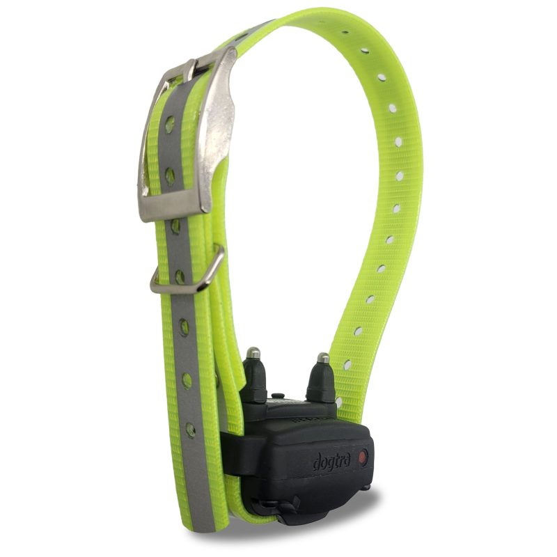 Dogtra 200C Combo collar right facing