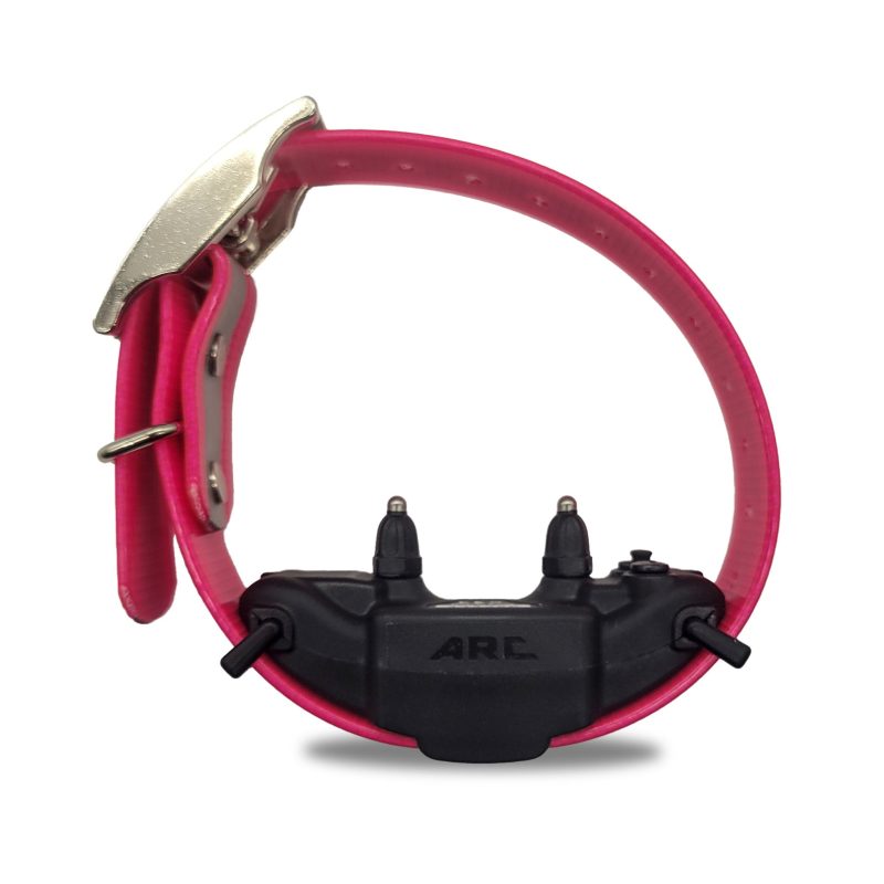 Dogtra ARC collar back