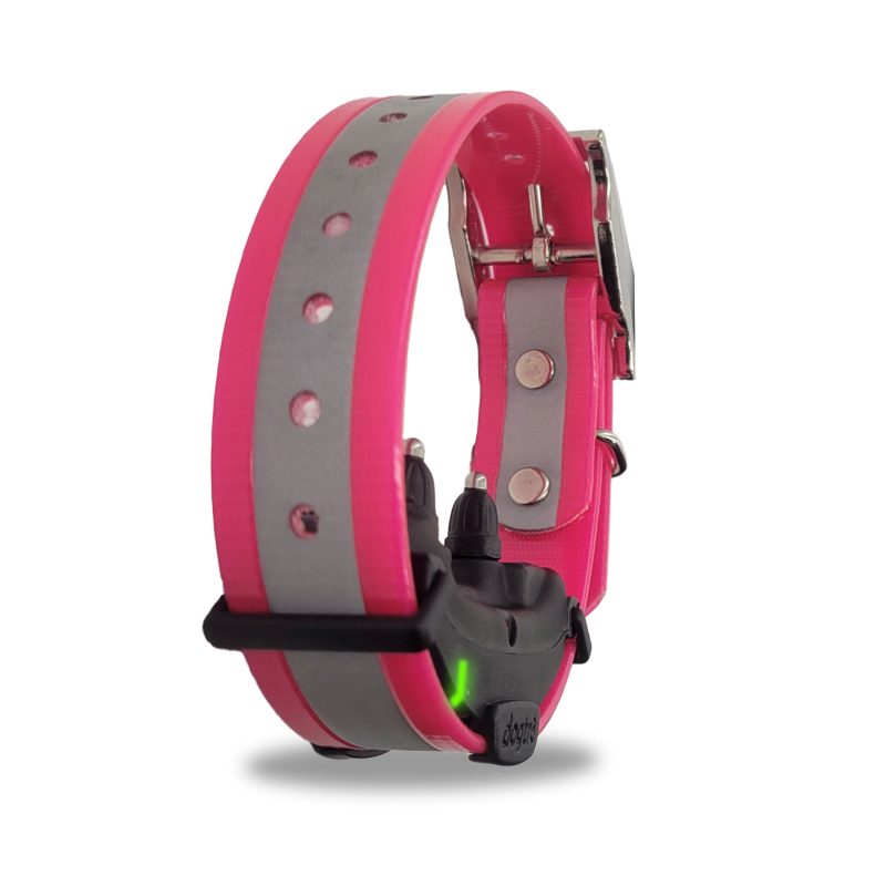 Dogtra ARC collar right