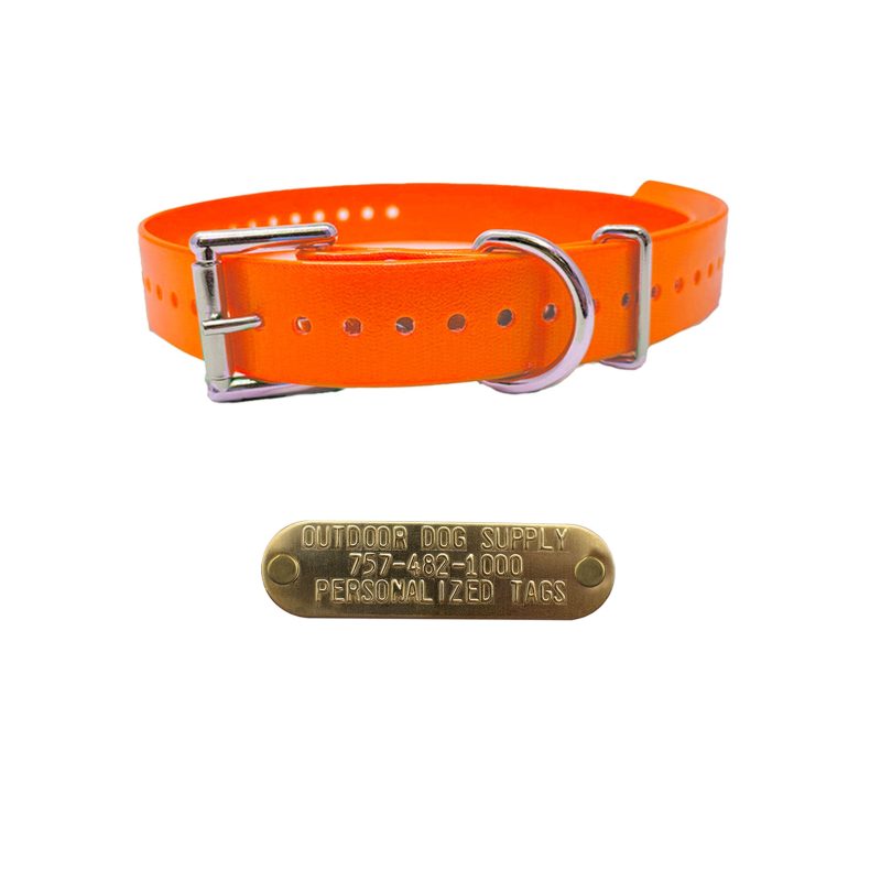 Double Buckle basic collars Orange With Tag