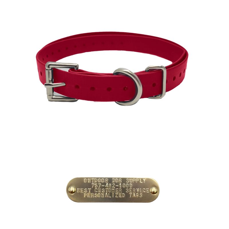 Double Buckle basic collars Red With Tag