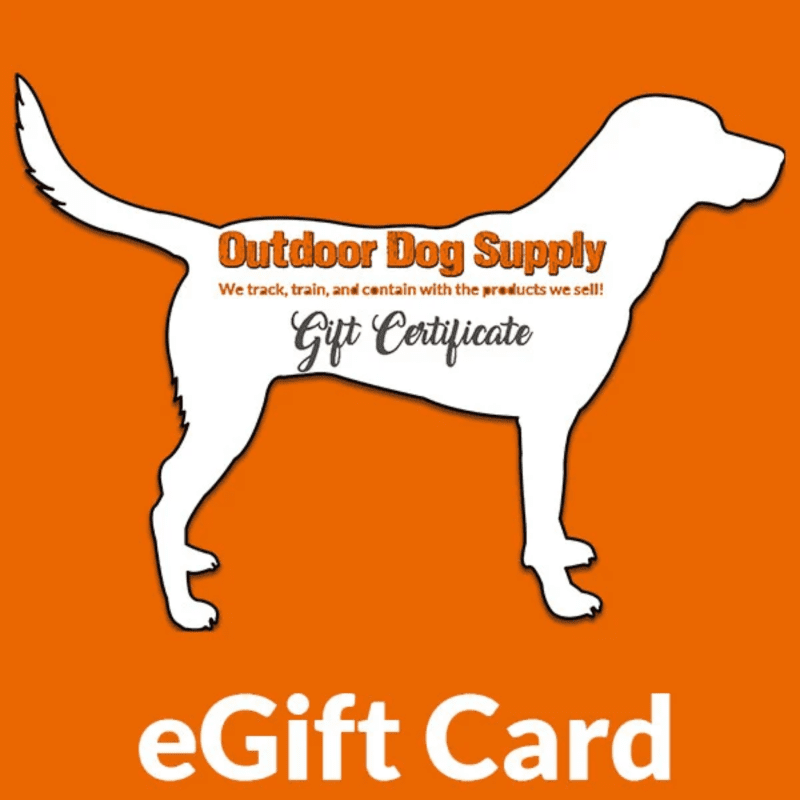 E GiftCard