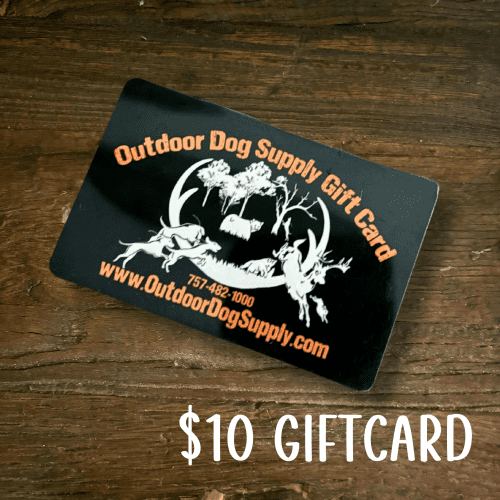 Gift Card10