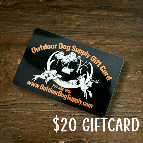 Gift Card20