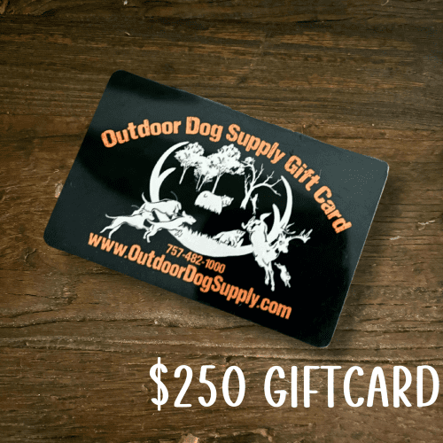 Gift Card250