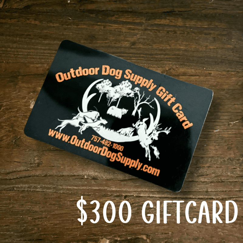 Gift Card300