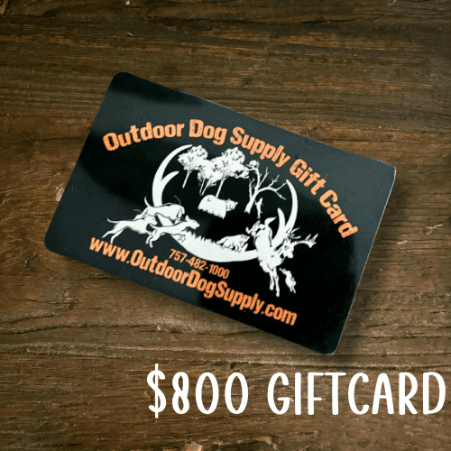 Gift Card800