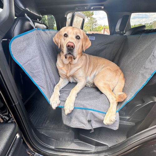 Heather Half Dog Hammock Chevy