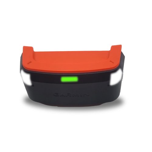 LTE Collar Not on Strap