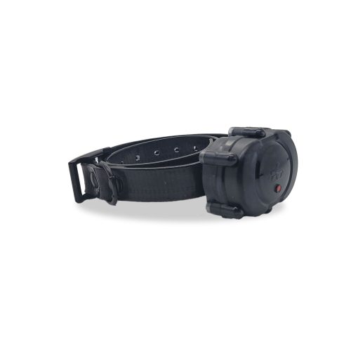 Micro iDT PLUS collar black