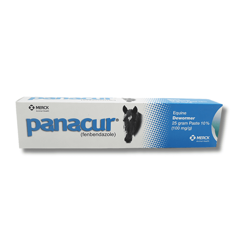 Panacur Equine Dewormer 100 mgg