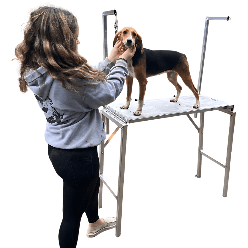 Portable Dog Paint Table1