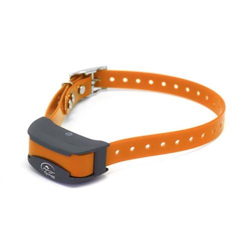 SportDOG SportTrainer 575 Orange third