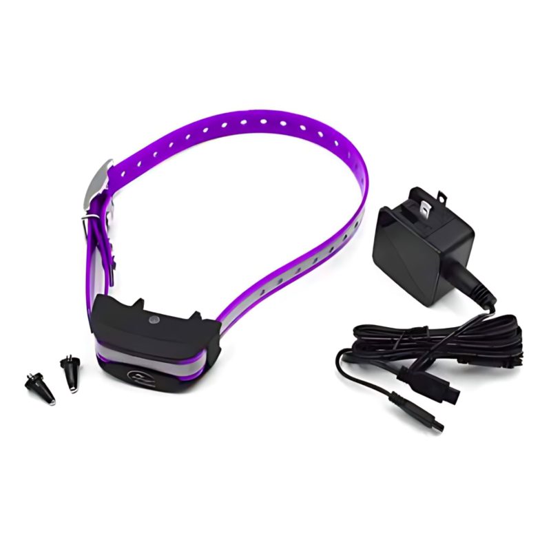 SportDOG SDR AXF Collar second