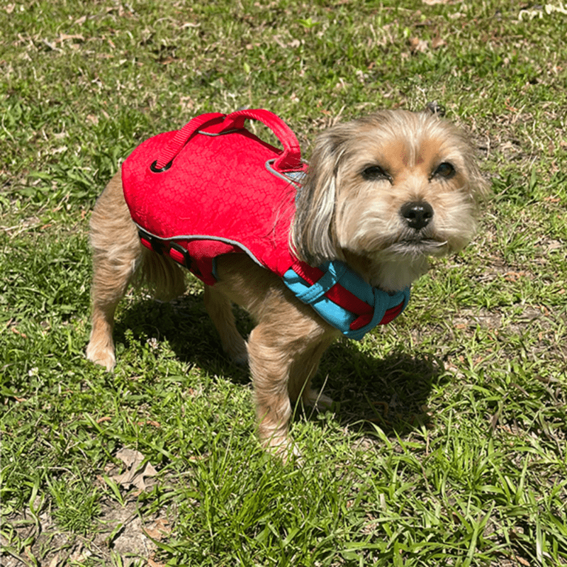 Surf Turf Life Jacket2